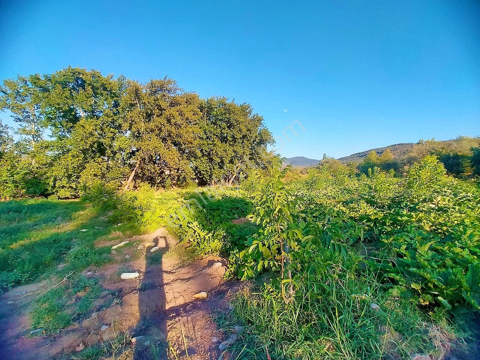 🟥tek Yetkili Aktiften 6800 M2 Kadastrol Yolu Olan Satılık Bahçe - Görsel 31