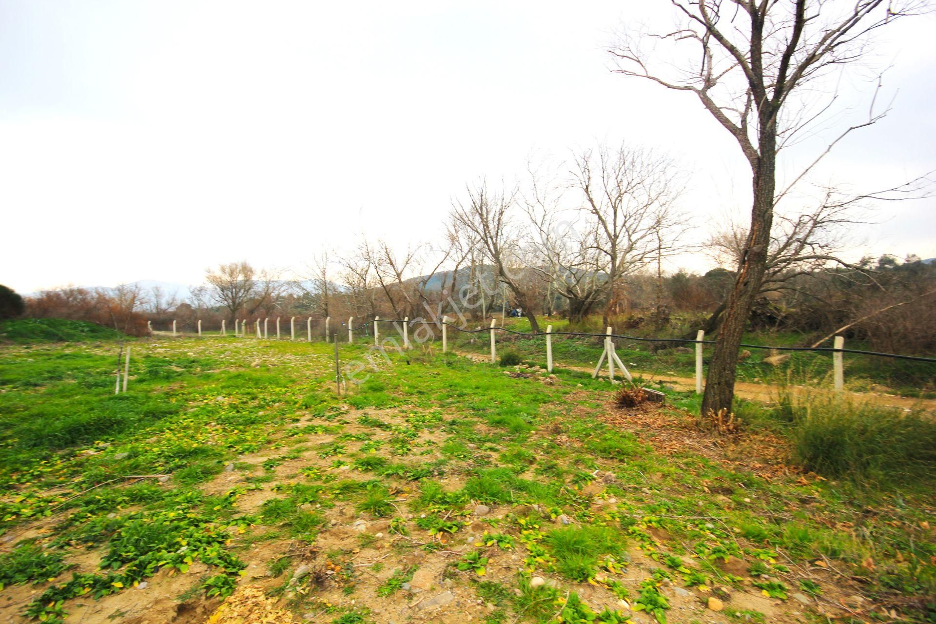 🟥tek Yetkili Aktiften 6800 M2 Kadastrol Yolu Olan Satılık Bahçe - Görsel 6