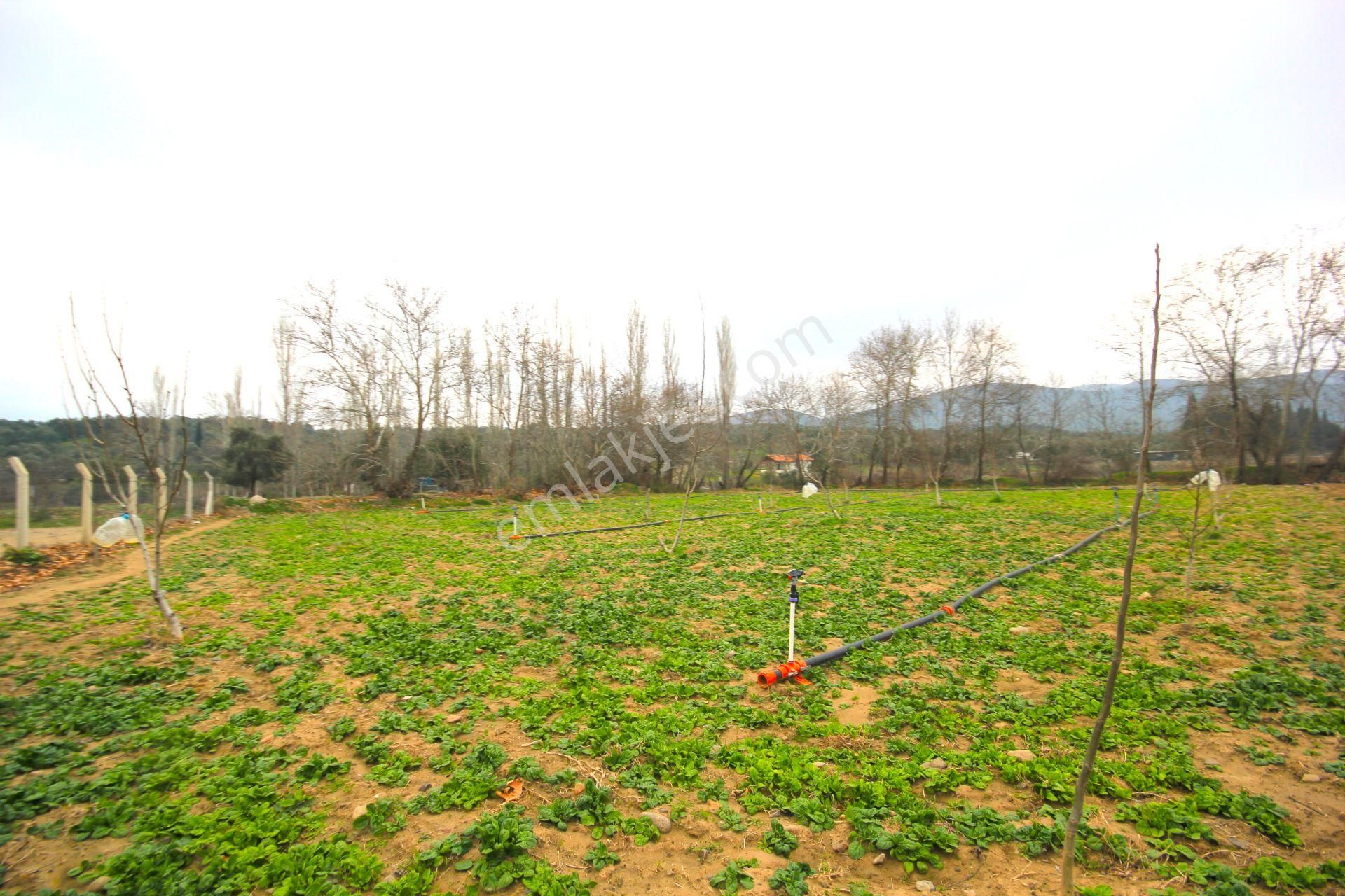 🟥tek Yetkili Aktiften 6800 M2 Kadastrol Yolu Olan Satılık Bahçe - Görsel 18