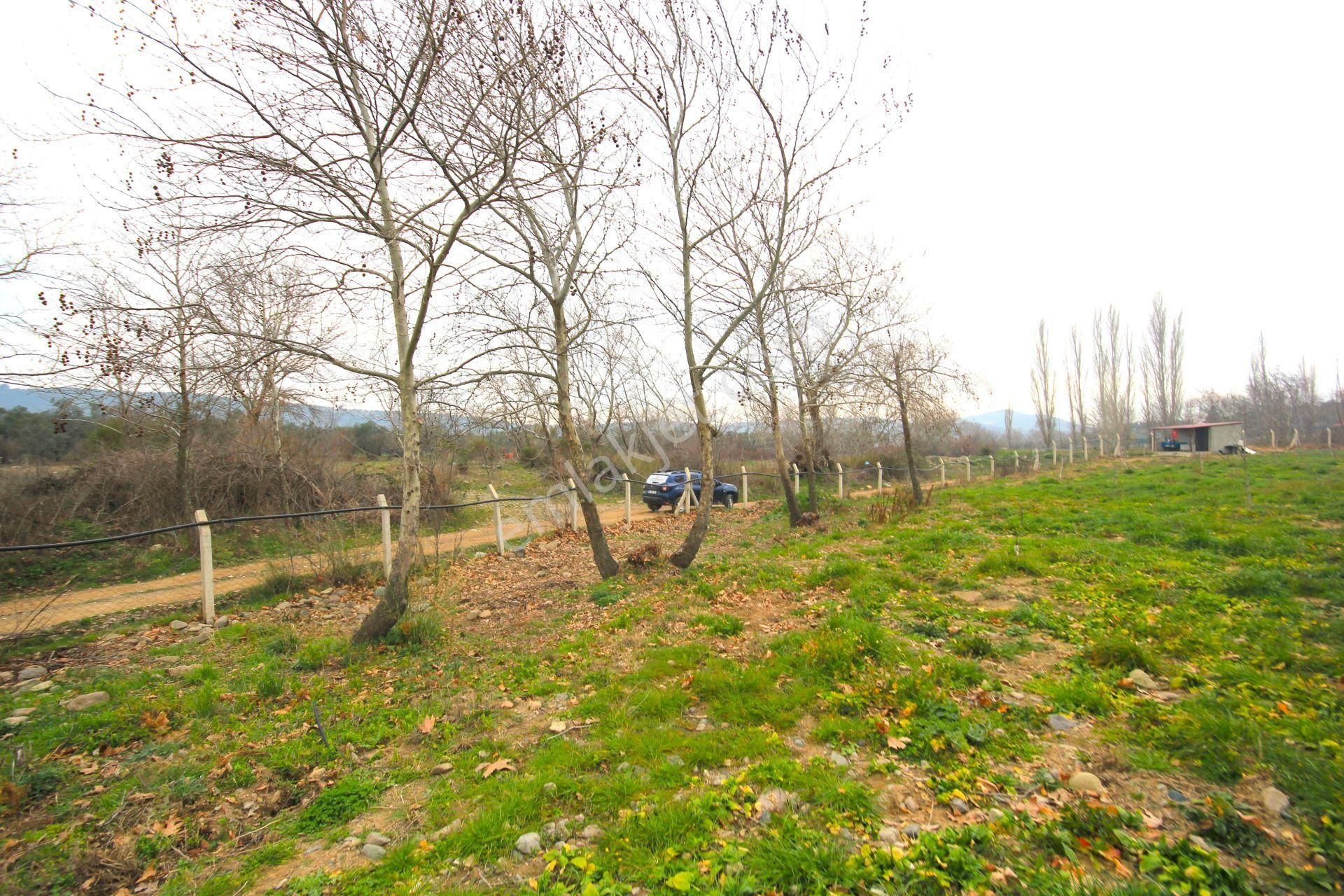 🟥tek Yetkili Aktiften 6800 M2 Kadastrol Yolu Olan Satılık Bahçe - Görsel 5