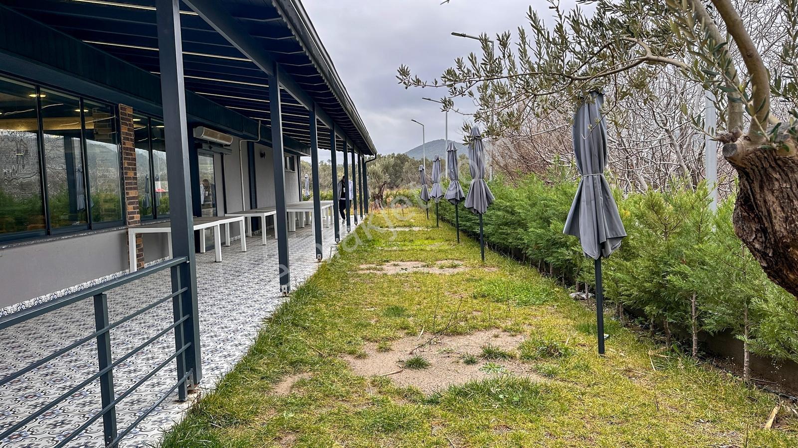 Era Angel Dan İşletmeye Hazır Devren Kiralık Cafe Ve Restaurant - Görsel 23