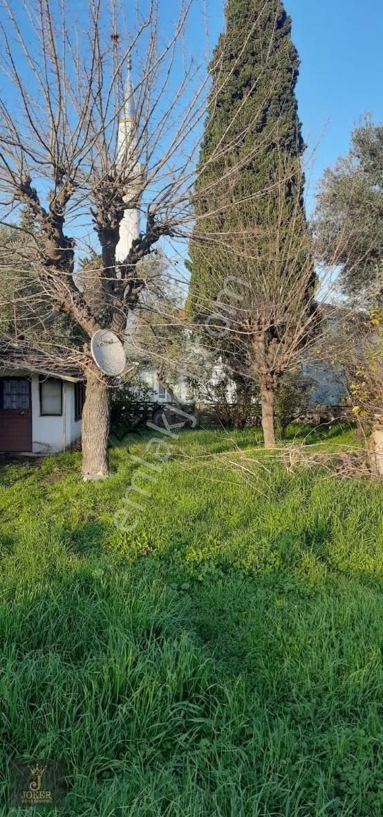 Joker Gayrimenkulden Eskimanyas Ta Satılık Avlulu Kerpiç Ev