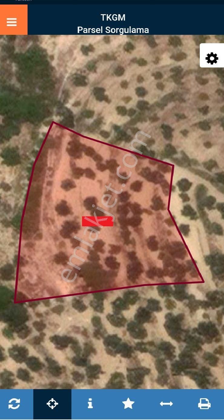 Balıkesir Burhaniye Karadere"de Satılık 1.357m2 Harika Zeytinlik