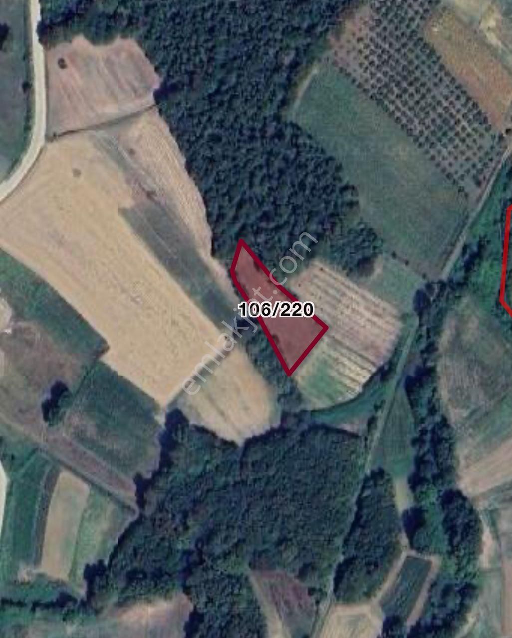Kandıra Seyyitaliler'de 1.729m2 Resmi Yolu Müstakil Tapulu Arazi - Görsel 2