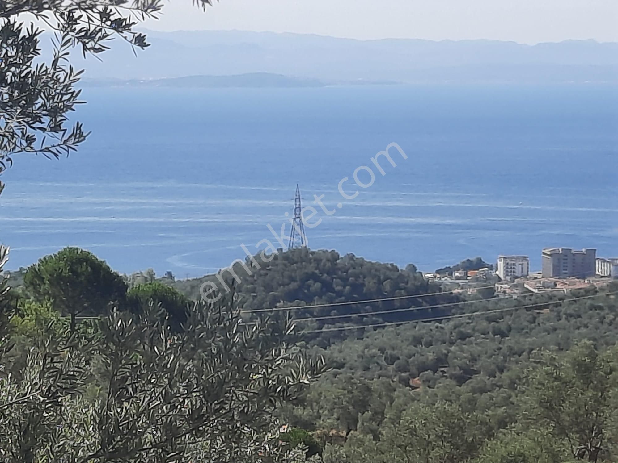 Balıkesir Edremit Altınoluk "da Satılık Deniz Manzaralı 178.008m2 Harika Zeytinlik - Görsel 8