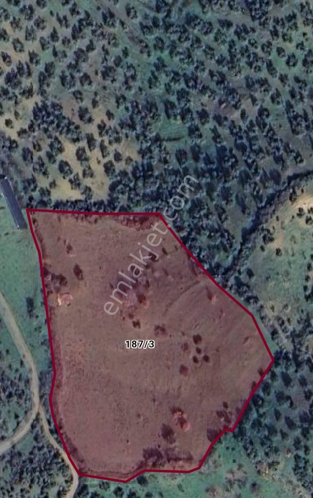 İzmir Bergama Sağancı'da Satılık 14.966 M² Kadastral Yolu Olan Tarla - Görsel 8