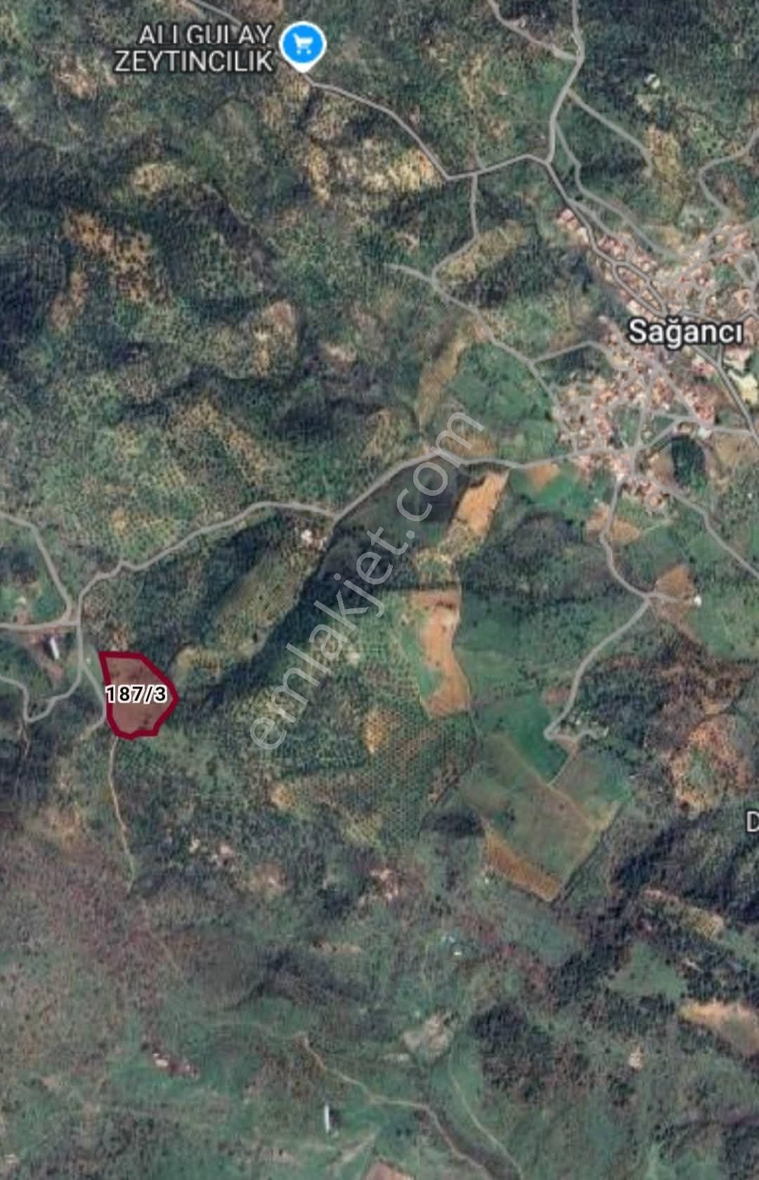 İzmir Bergama Sağancı'da Satılık 14.966 M² Kadastral Yolu Olan Tarla - Görsel 7