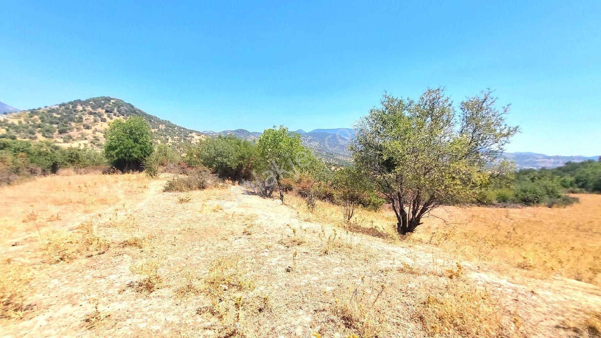 İzmir Bergama Sağancı'da Satılık 14.966 M² Kadastral Yolu Olan Tarla - Görsel 2