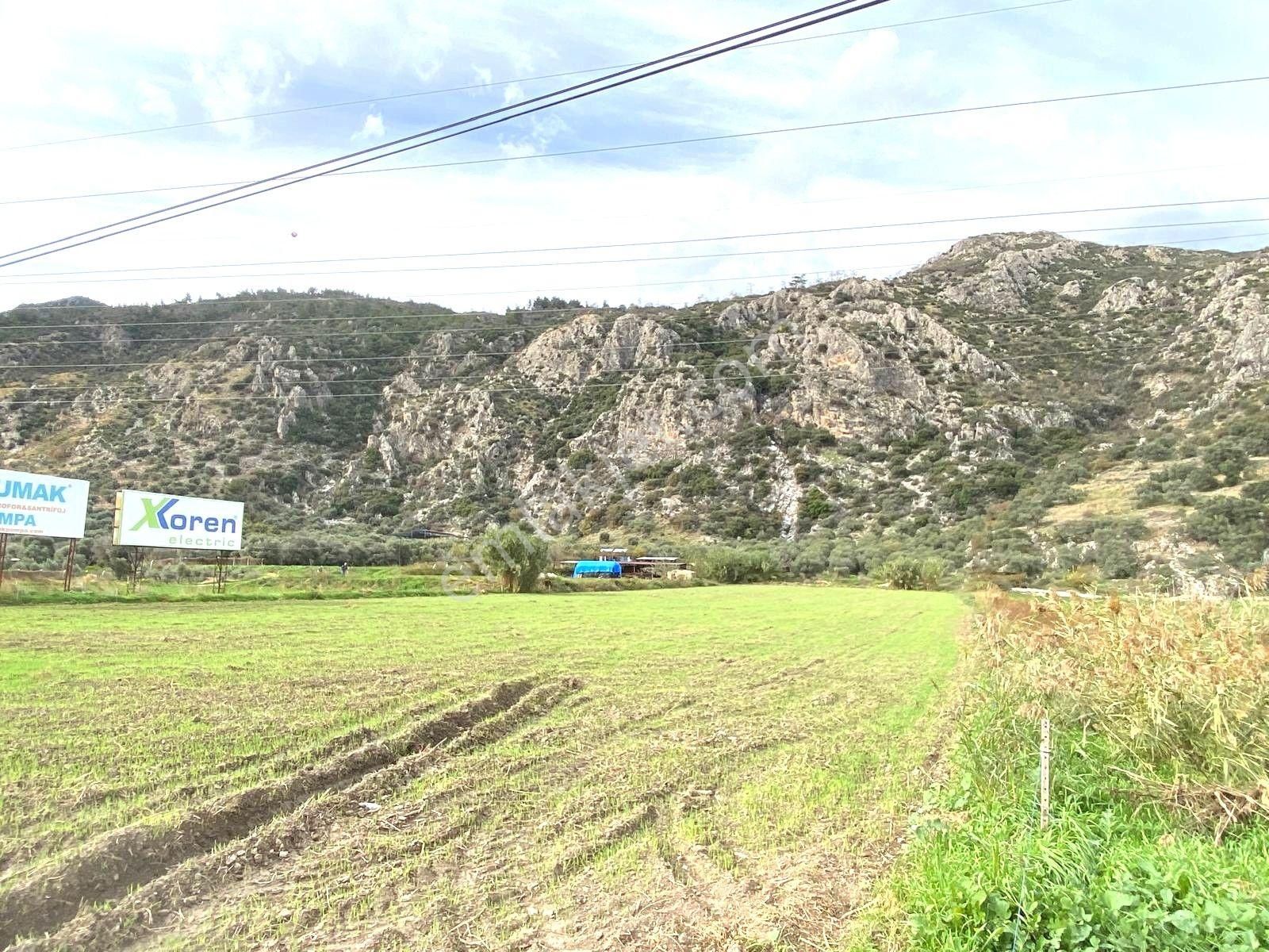 Bodrum-didim Yolunda Ticari İmarlı 11 Dönüm Satılık Arazi - Görsel 3