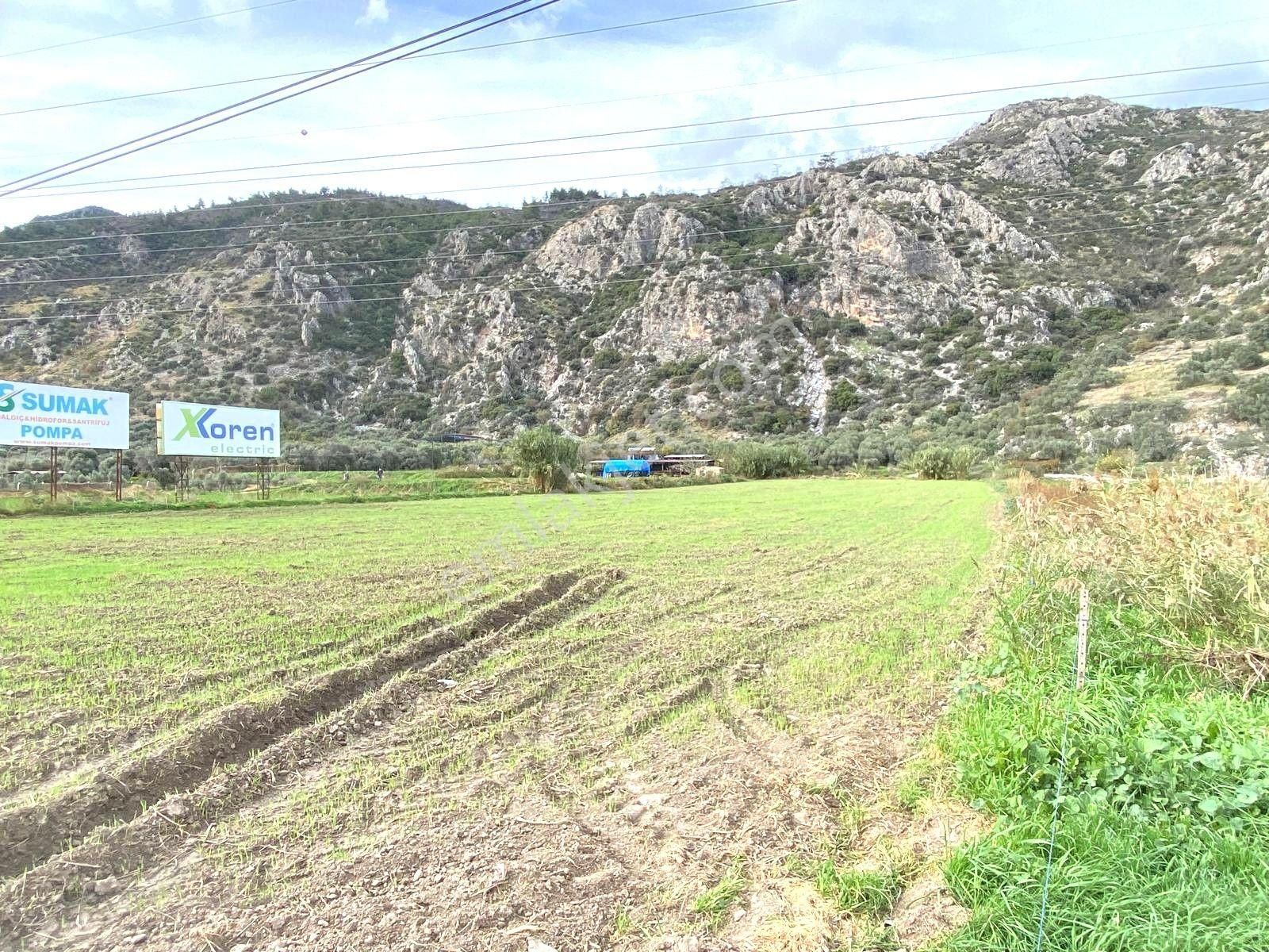 Bodrum-didim Yolunda Ticari İmarlı 11 Dönüm Satılık Arazi