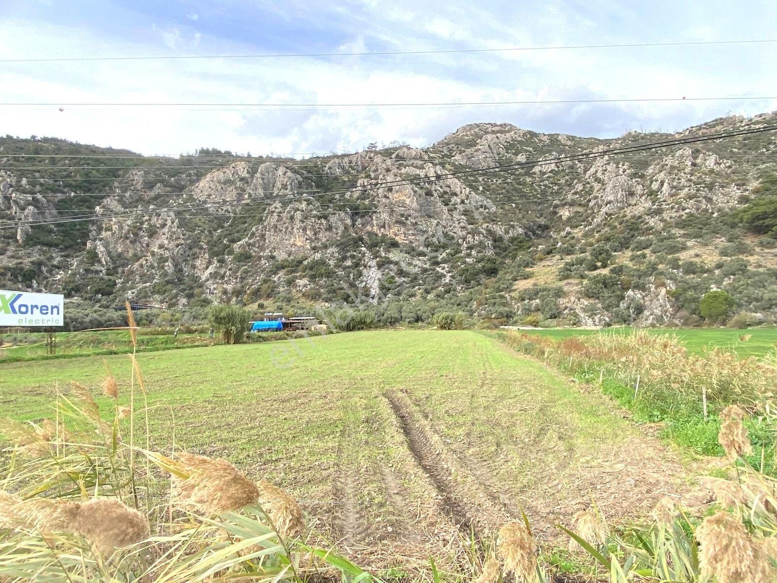 Bodrum-didim Yolunda Ticari İmarlı 11 Dönüm Satılık Arazi - Görsel 5