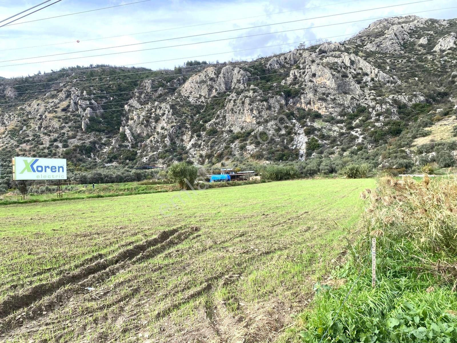 Bodrum-didim Yolunda Ticari İmarlı 11 Dönüm Satılık Arazi - Görsel 7