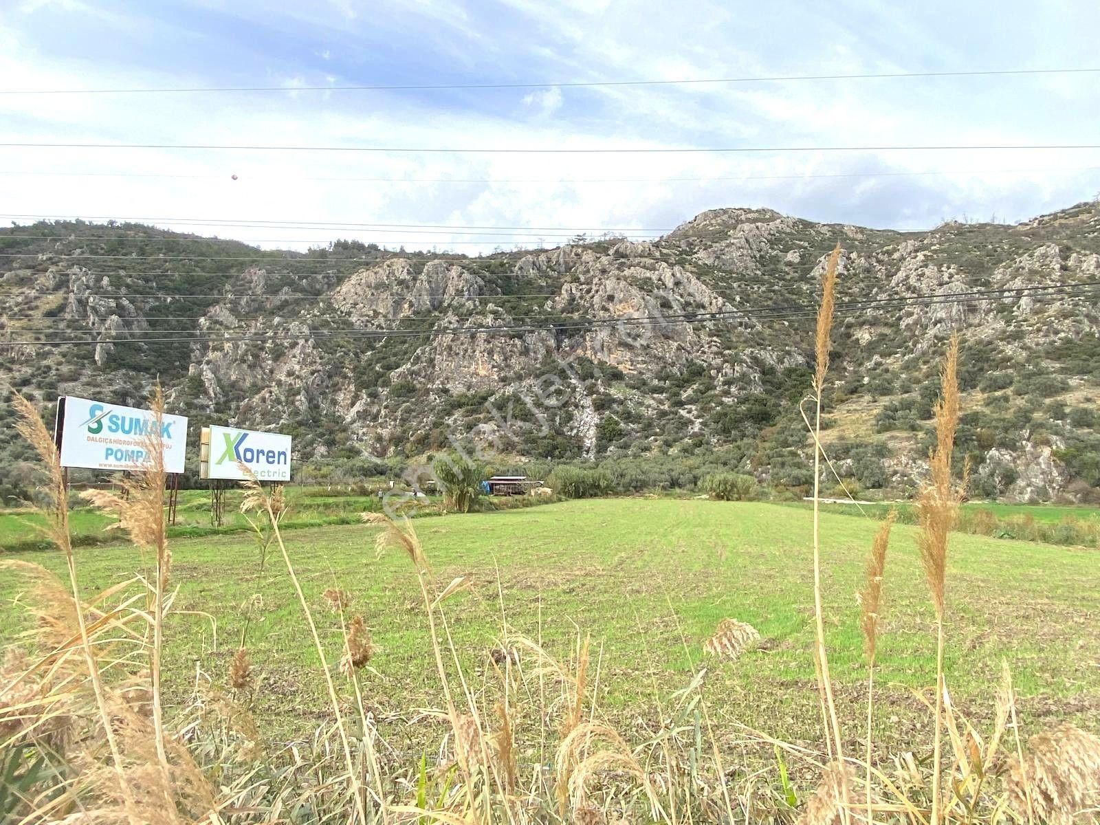 Bodrum-didim Yolunda Ticari İmarlı 11 Dönüm Satılık Arazi - Görsel 6