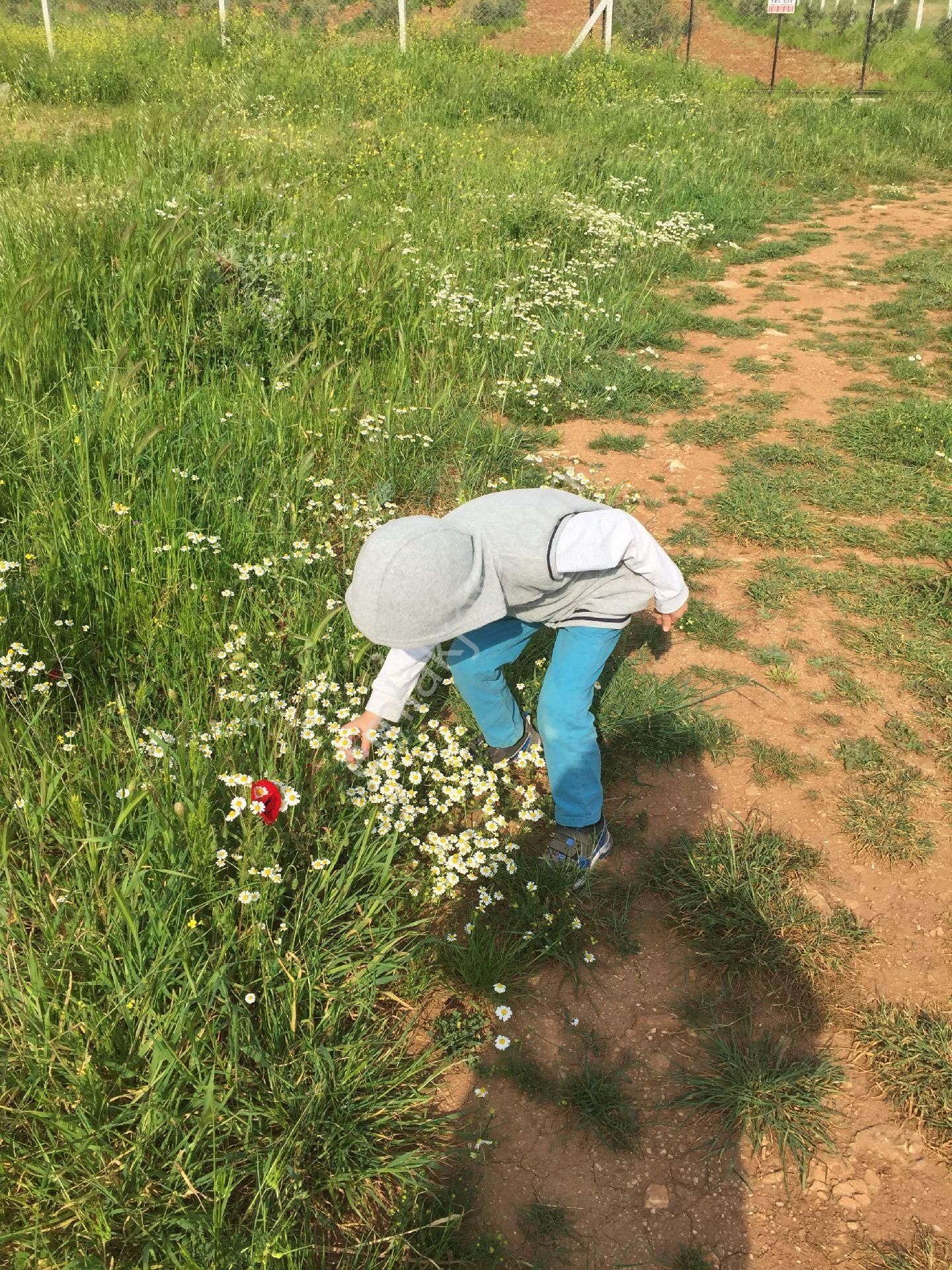 İmarlı 1955m² Arsa (sahibinden)❗️❗️❗️ - Görsel 5