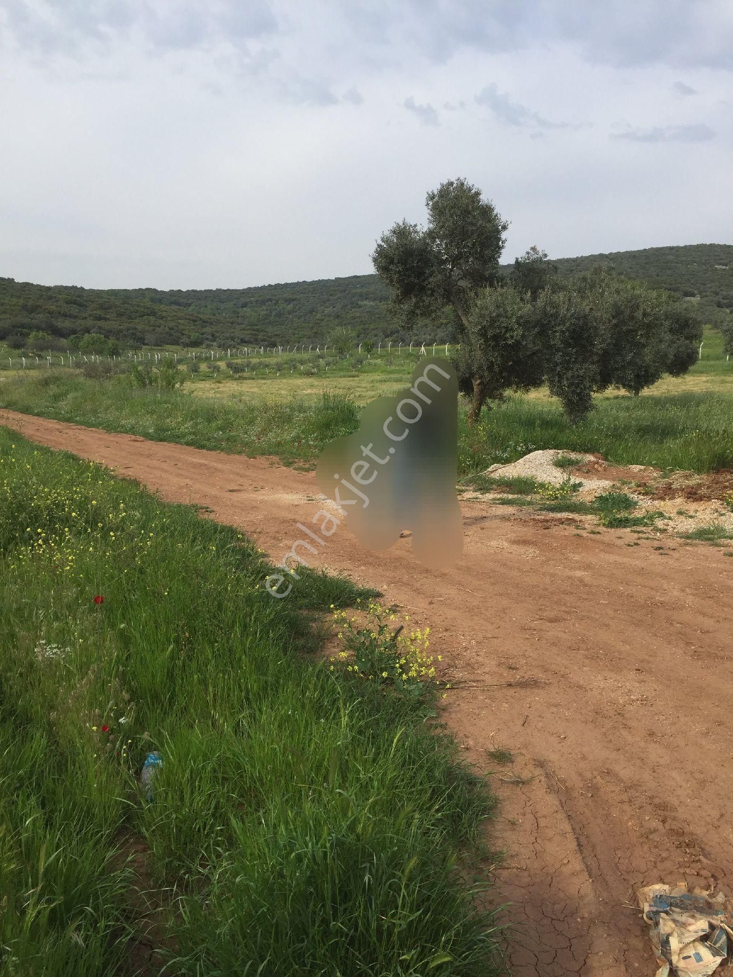 İmarlı 1955m² Arsa (sahibinden)❗️❗️❗️ - Görsel 2