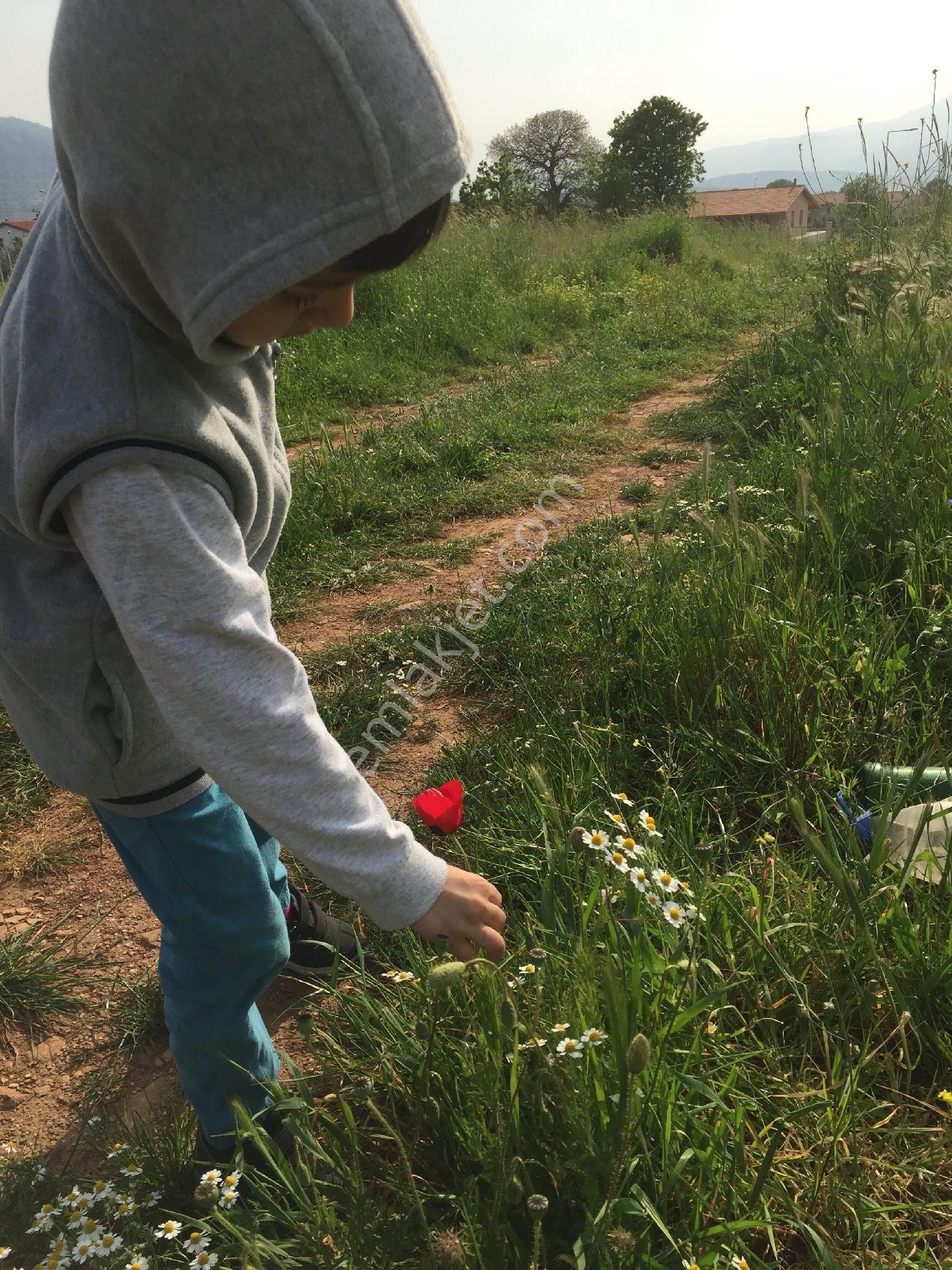 İmarlı 1955m² Arsa (sahibinden)❗️❗️❗️ - Görsel 6