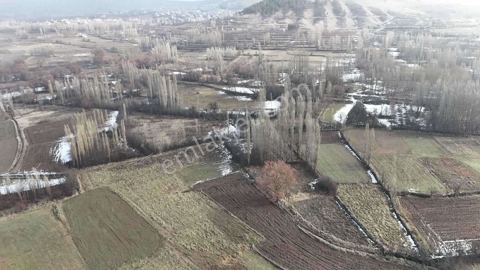 Konya / Meram / İnlice Mahallesinde 350 M² Müstakil Tapulu Tarla - Görsel 3