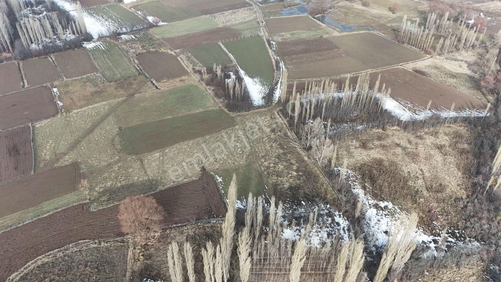 Konya / Meram / İnlice Mahallesinde 350 M² Müstakil Tapulu Tarla - Görsel 2