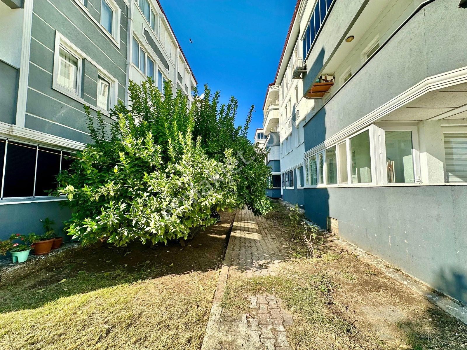 ▓karabuluttan▓yatırım Fırsatı Zeytinli'de & Ayrı Mutfak Fırsat 2+1 Satılık Daire - Görsel 31