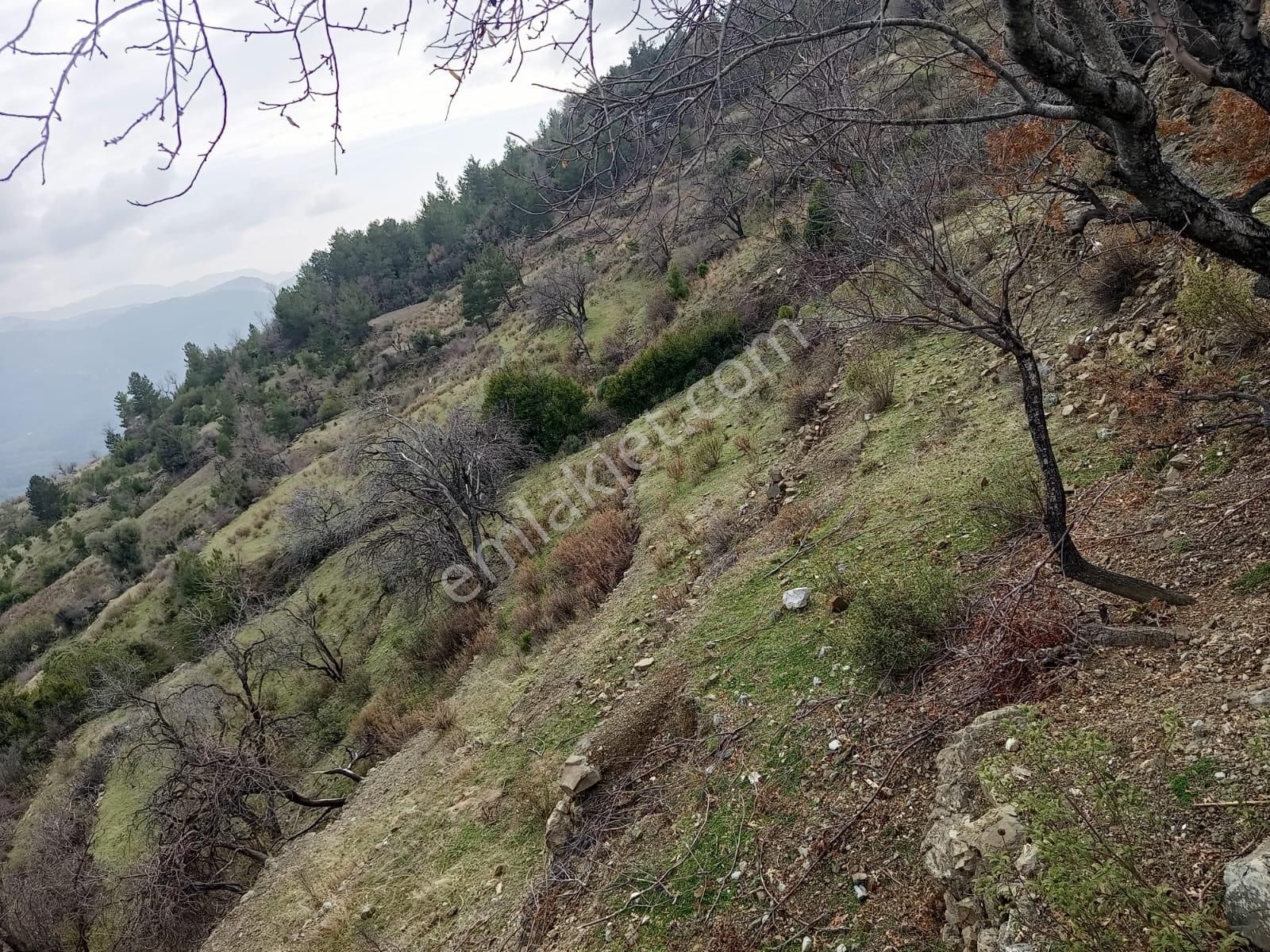 Karatepe Mahallesinde Köyiçine Yakın Tarla - Görsel 2
