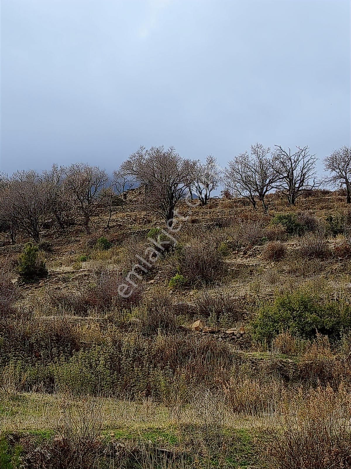 Karatepe Mahallesinde Köyiçine Yakın Tarla - Görsel 3