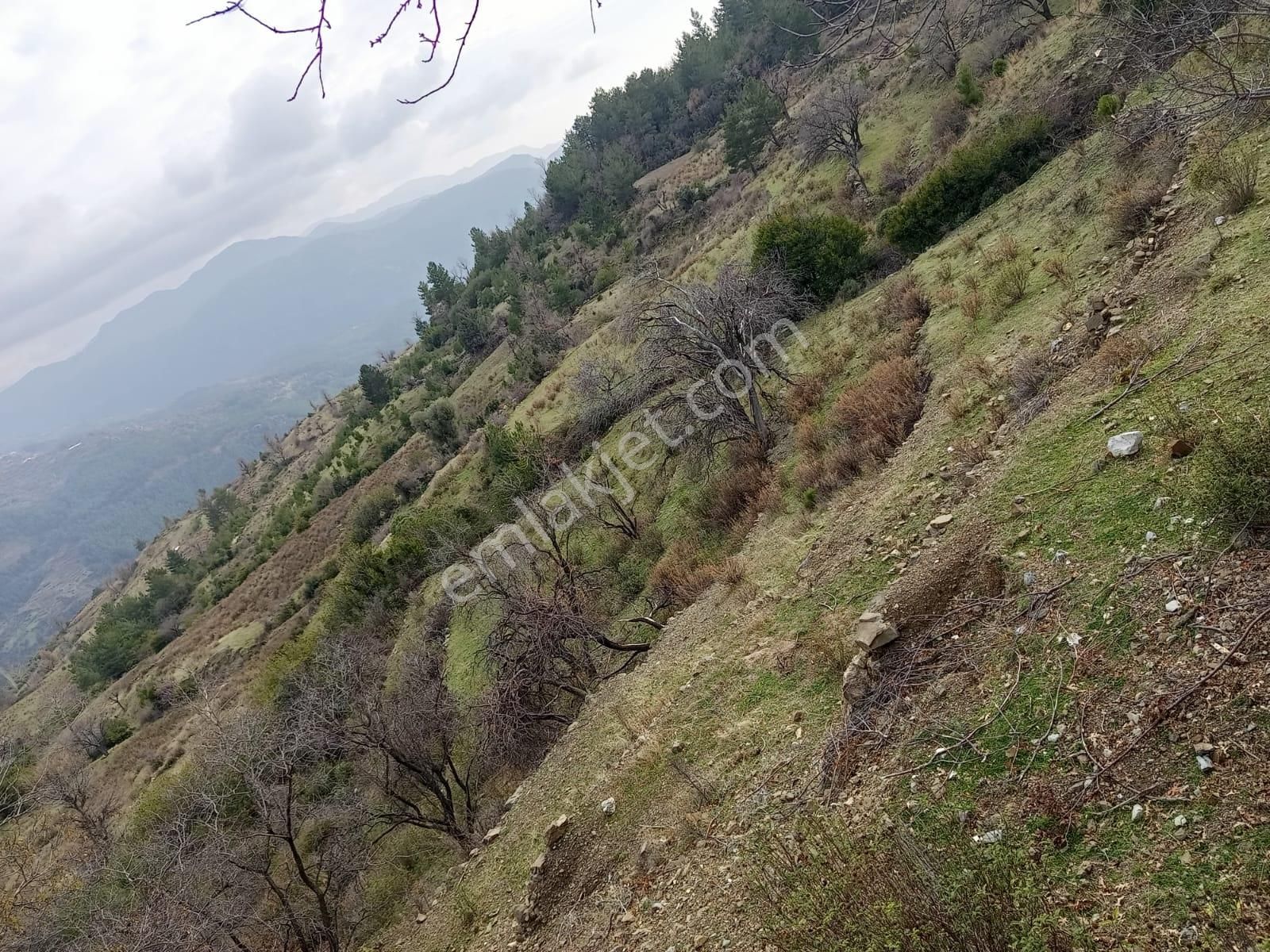 Karatepe Mahallesinde Köyiçine Yakın Tarla - Görsel 7