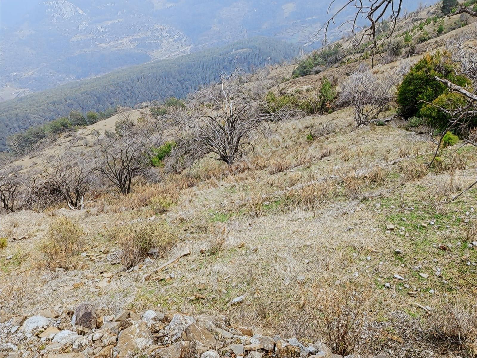 Karatepe Mahallesinde Köyiçine Yakın Tarla - Görsel 4