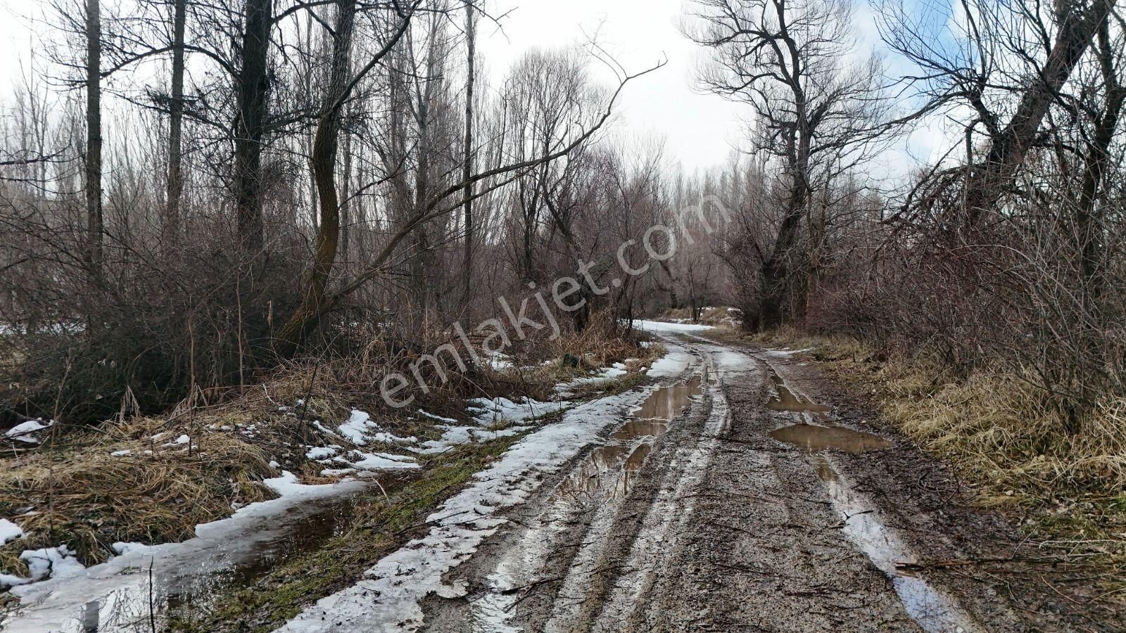 Konya / Meram / İnlice Mahallesinde 432 M² Müstakil Tapulu Tarla - Görsel 3