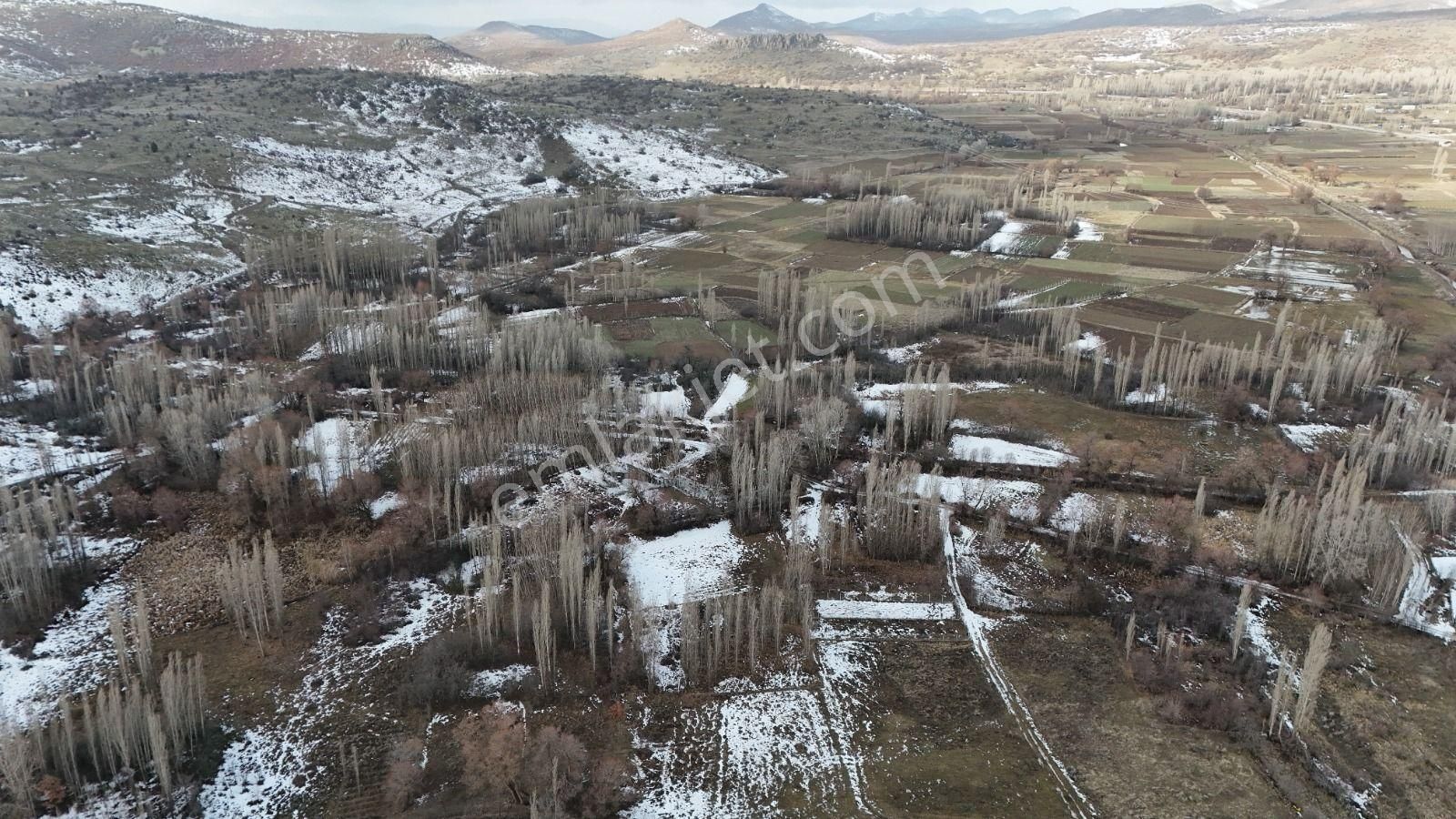 Konya / Meram / İnlice Mahallesinde 432 M² Müstakil Tapulu Tarla - Görsel 5