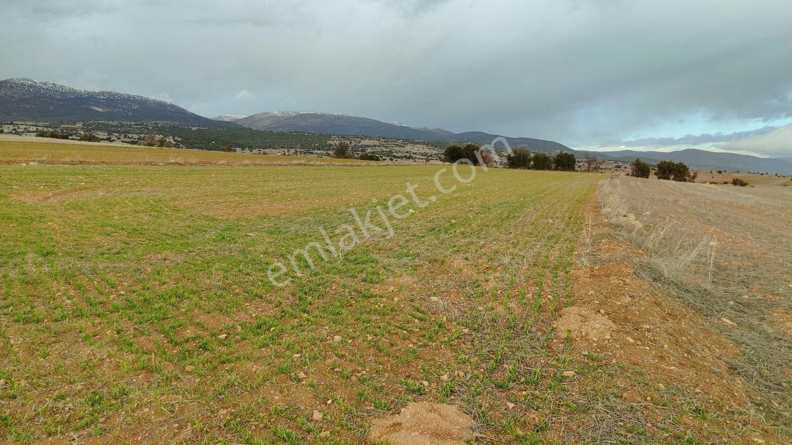 Korkuteli Kevzer Köyü Satılık 3.282m2 Tarla - Görsel 10