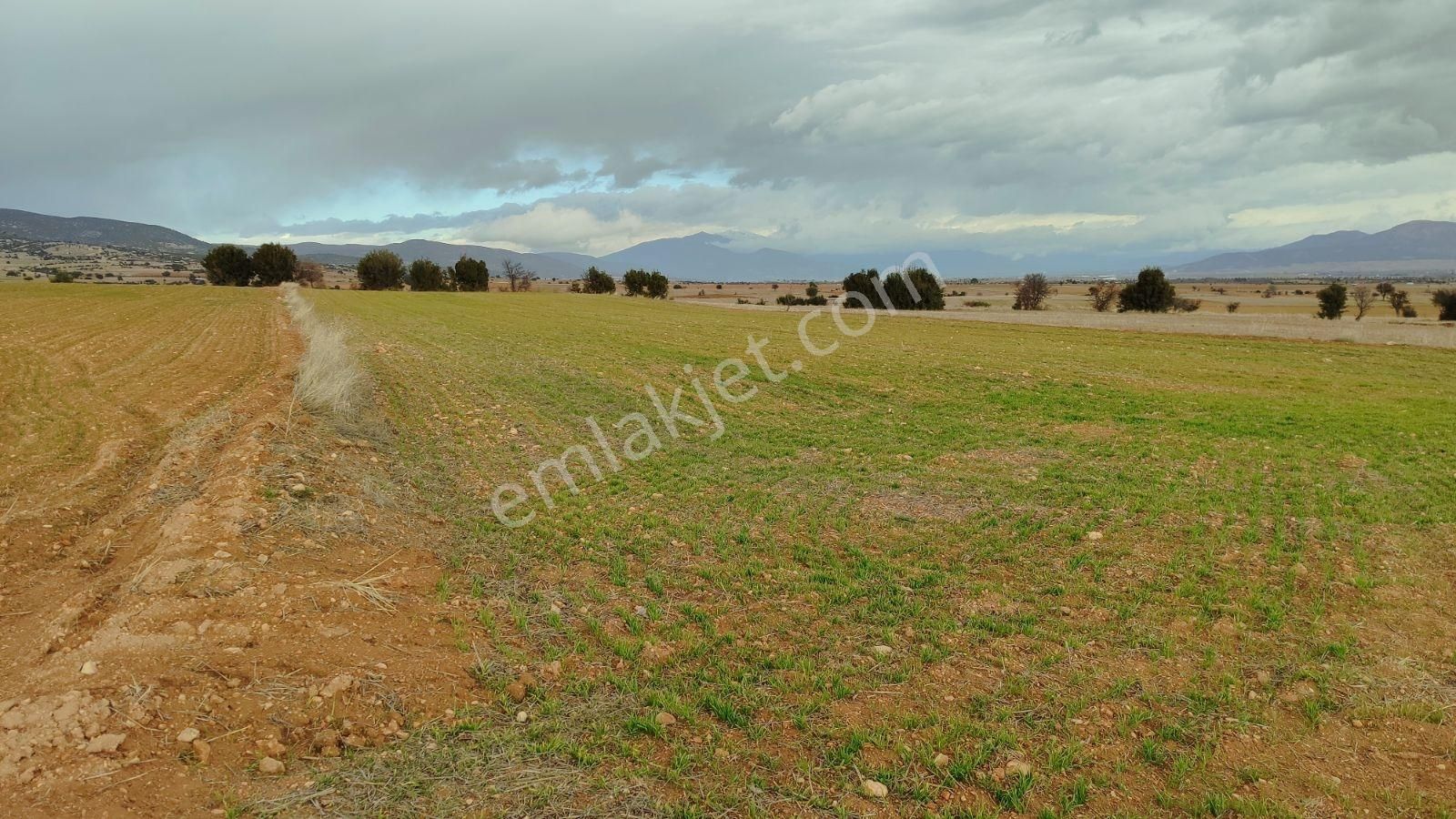 Korkuteli Kevzer Köyü Satılık 3.282m2 Tarla - Görsel 7