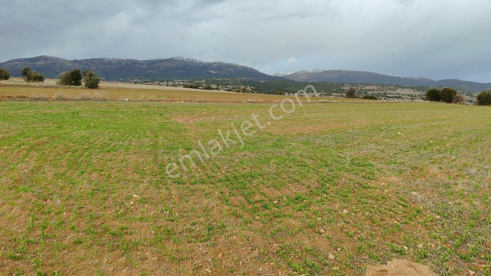 Korkuteli Kevzer Köyü Satılık 3.282m2 Tarla - Görsel 14