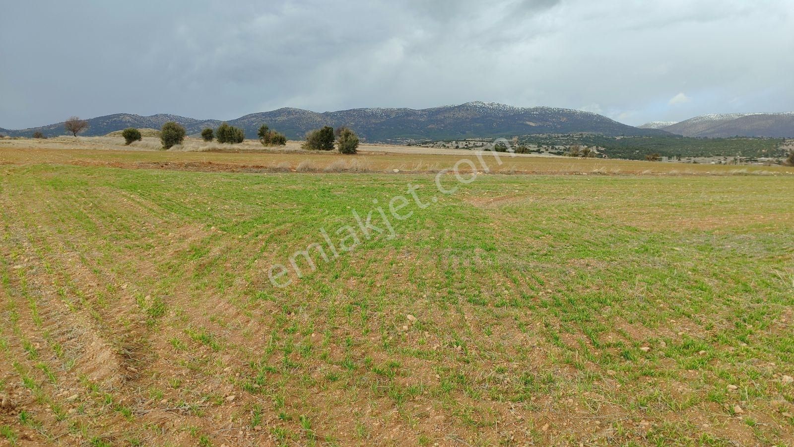 Korkuteli Kevzer Köyü Satılık 3.282m2 Tarla - Görsel 13