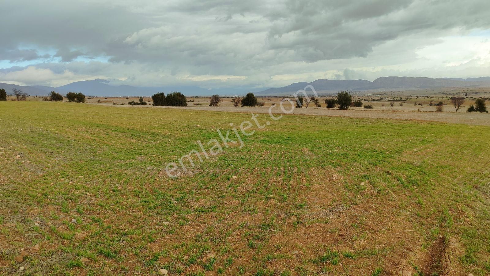 Korkuteli Kevzer Köyü Satılık 3.282m2 Tarla - Görsel 6