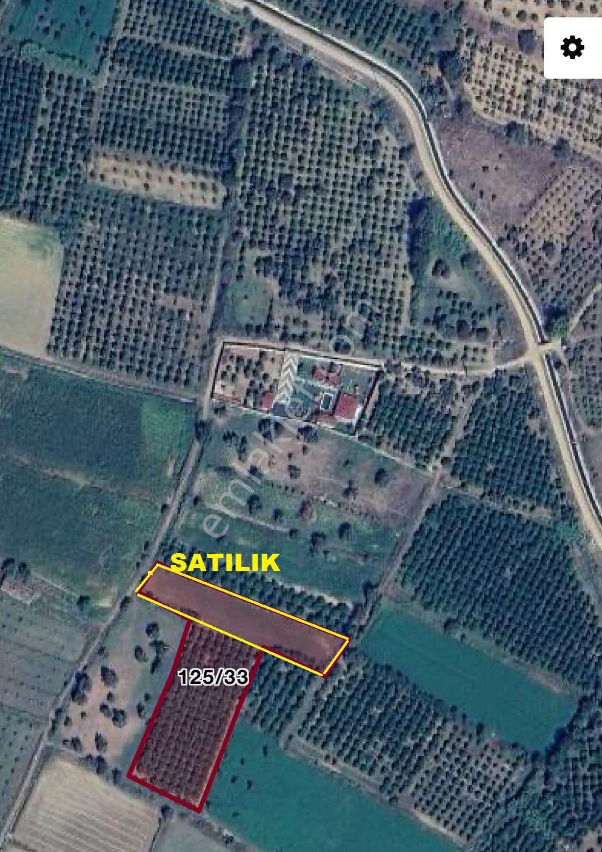 Durasallı Da Satılık 3 Dönüm Bahçe - Görsel 3