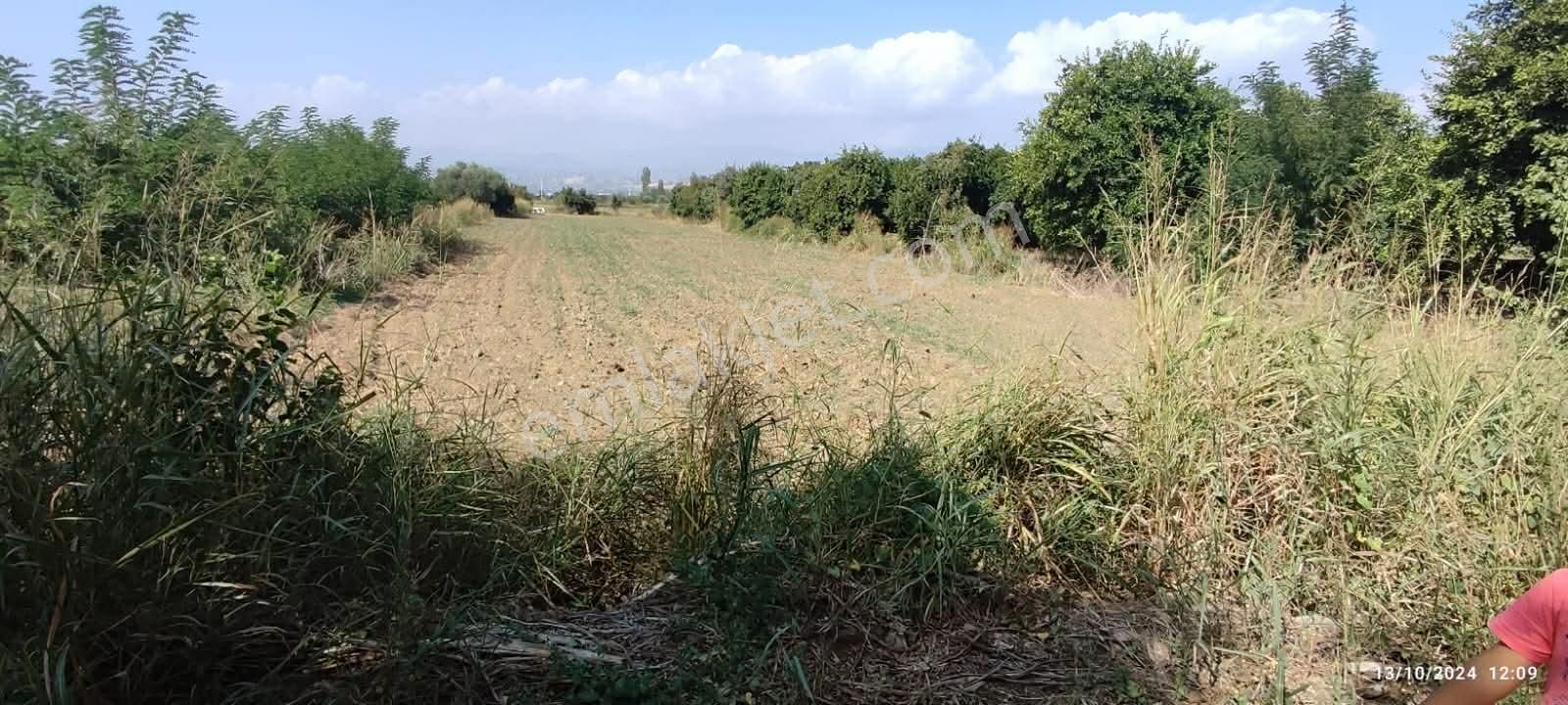 Durasallı Da Satılık 3 Dönüm Bahçe