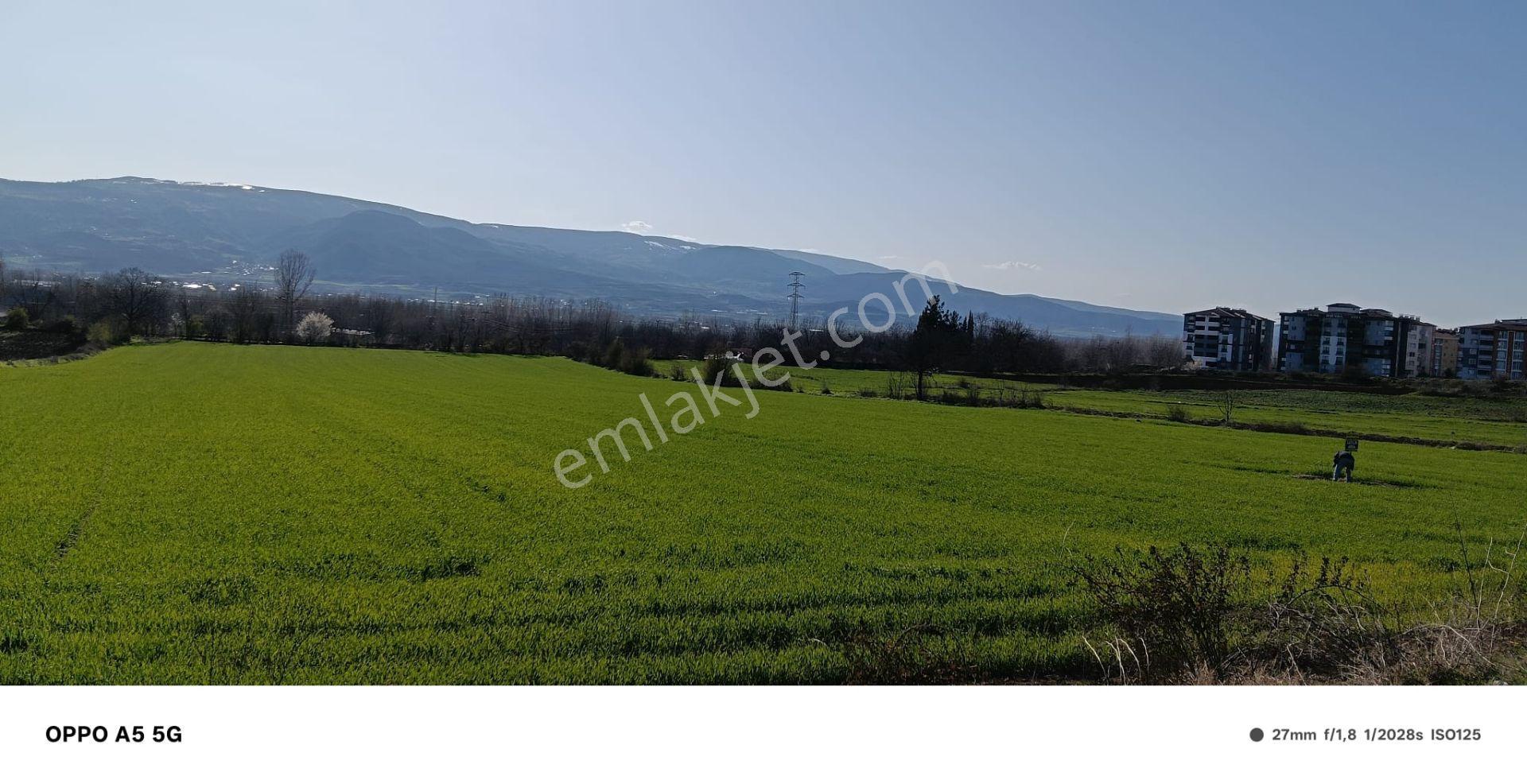 Adalet Gold Group Emlak'tan Bahçelievler Mahallesi'de Yol Kenarında Satılık 15.000 M2 Arsa - Görsel 6