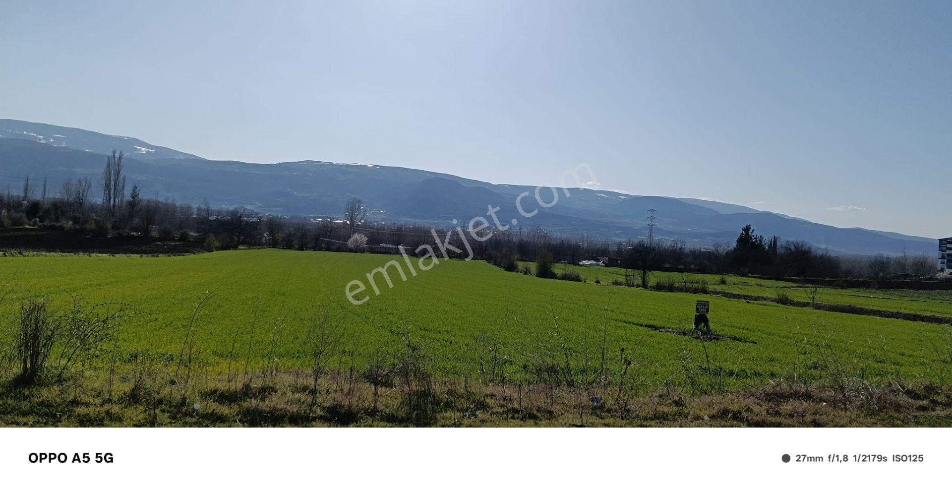 Adalet Gold Group Emlak'tan Bahçelievler Mahallesi'de Yol Kenarında Satılık 15.000 M2 Arsa - Görsel 3