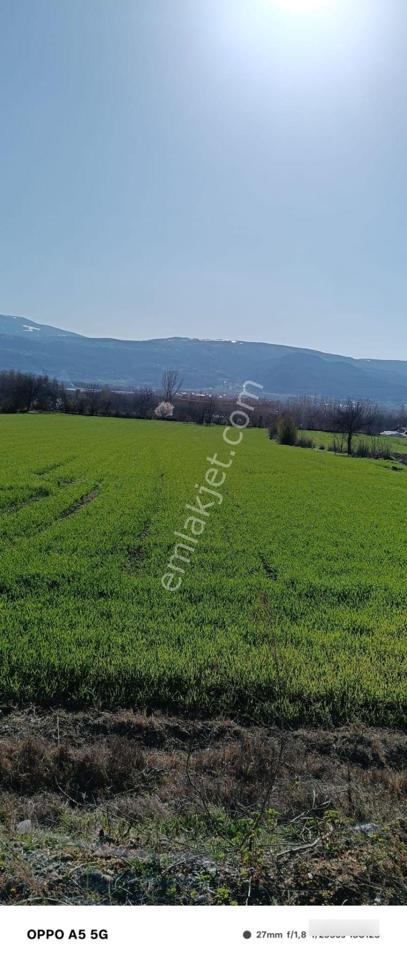 Adalet Gold Group Emlak'tan Bahçelievler Mahallesi'de Yol Kenarında Satılık 15.000 M2 Arsa - Görsel 4