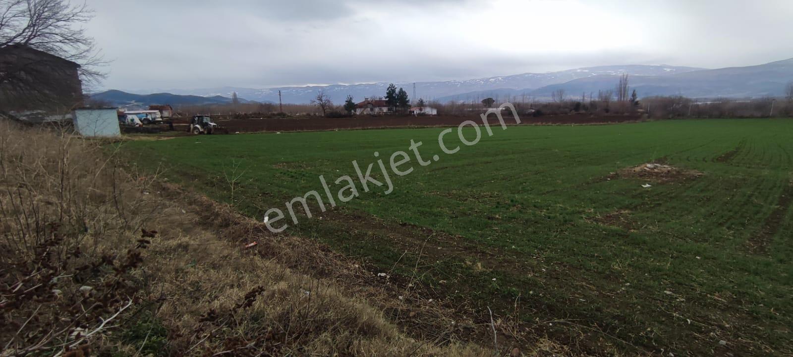 Adalet Gold Group Emlak'tan Bahçelievler Mahallesi'de Yol Kenarında Satılık 15.000 M2 Arsa - Görsel 9