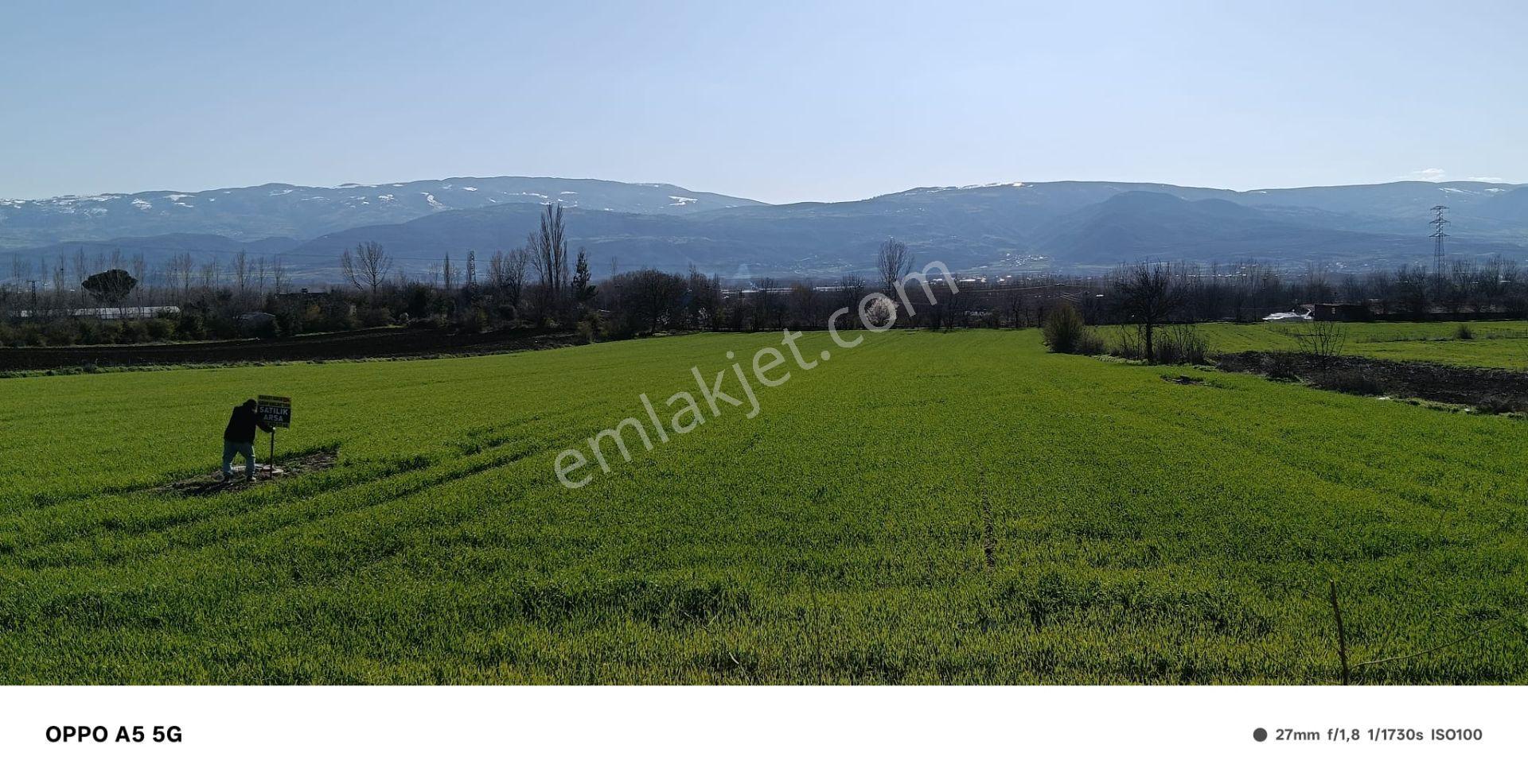 Adalet Gold Group Emlak'tan Bahçelievler Mahallesi'de Yol Kenarında Satılık 15.000 M2 Arsa - Görsel 5