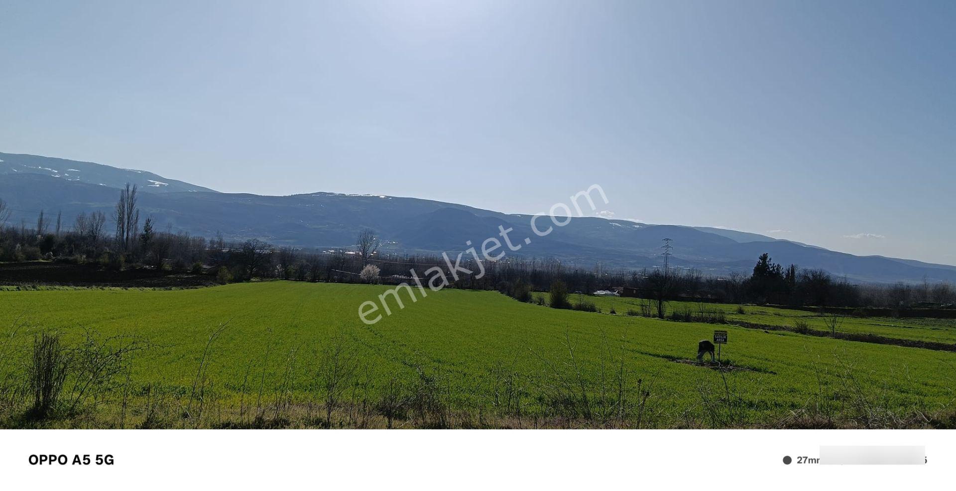Adalet Gold Group Emlak'tan Bahçelievler Mahallesi'de Yol Kenarında Satılık 15.000 M2 Arsa - Görsel 7