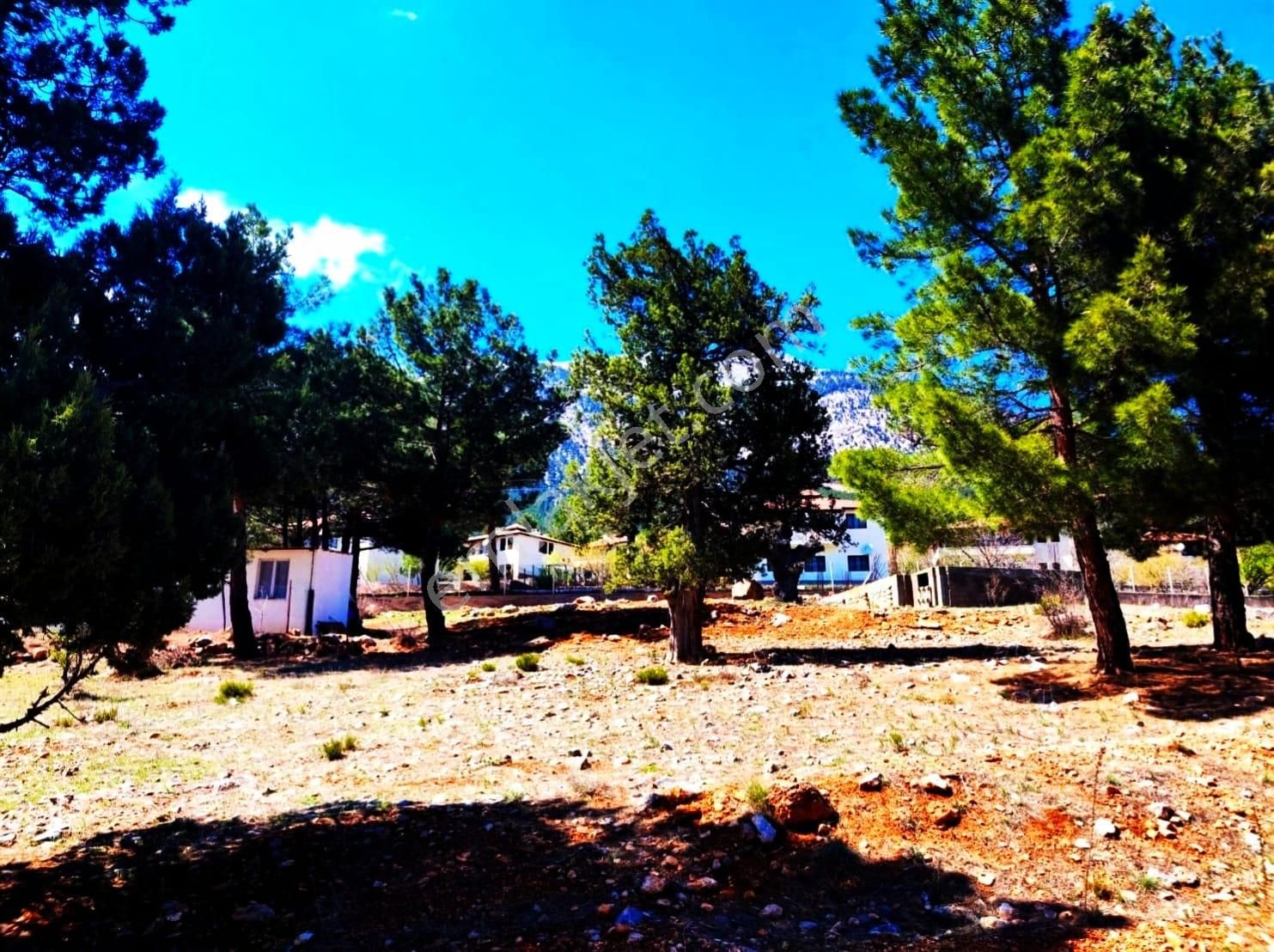 Kar Emlaktan Yenikonacık Efes Sitesi Altında 400 M2 Satılık Arsa - Görsel 14