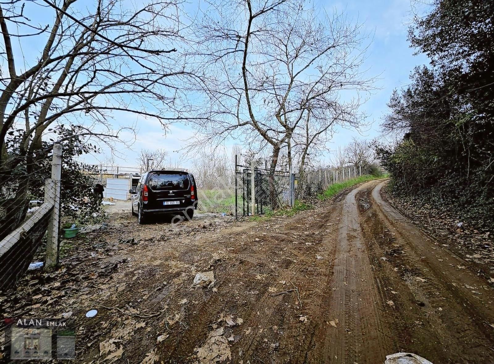 Çepnide Yola Cephe Full Deniz Manzaralı - Görsel 5