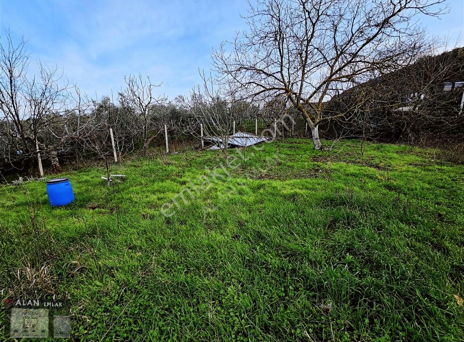 Çepnide Yola Cephe Full Deniz Manzaralı - Görsel 3