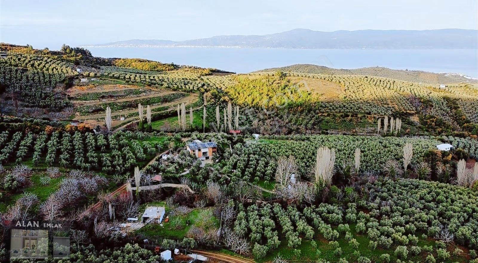 Çepnide Yola Cephe Full Deniz Manzaralı