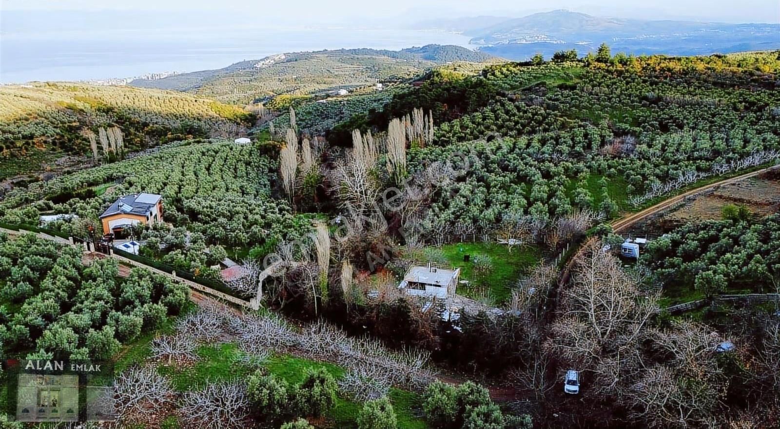 Çepnide Yola Cephe Full Deniz Manzaralı - Görsel 7