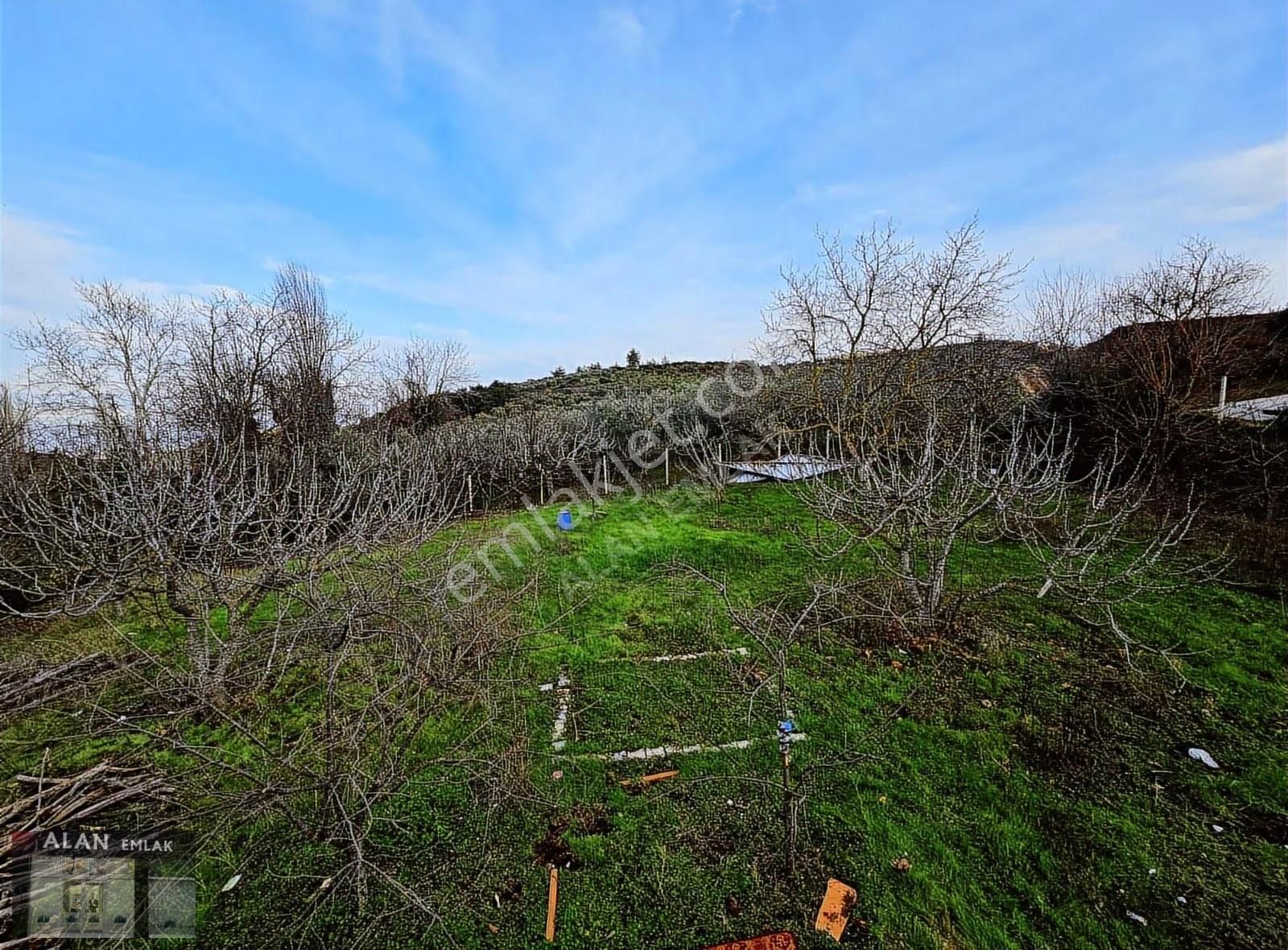 Çepnide Yola Cephe Full Deniz Manzaralı - Görsel 6