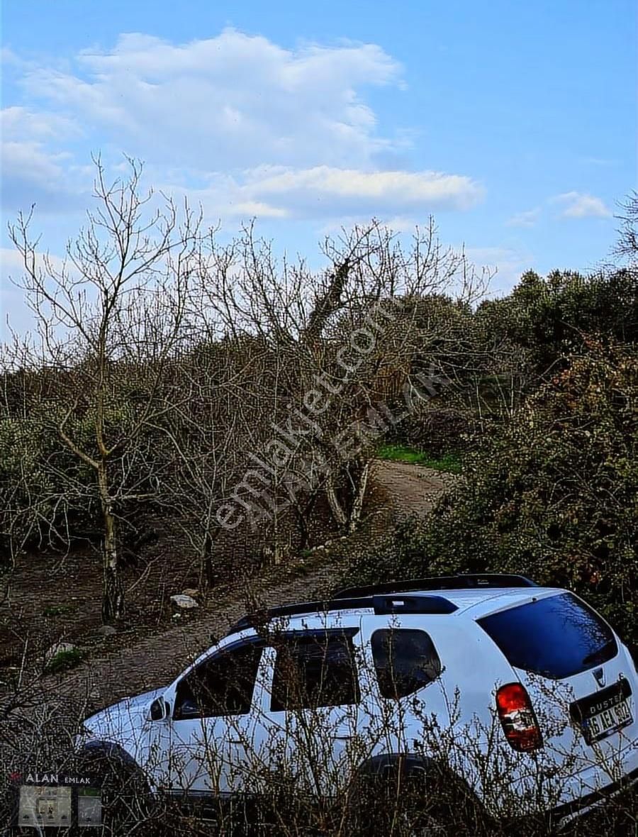 Yalıçiftlikte Köye Yakın Mesafe - Görsel 2