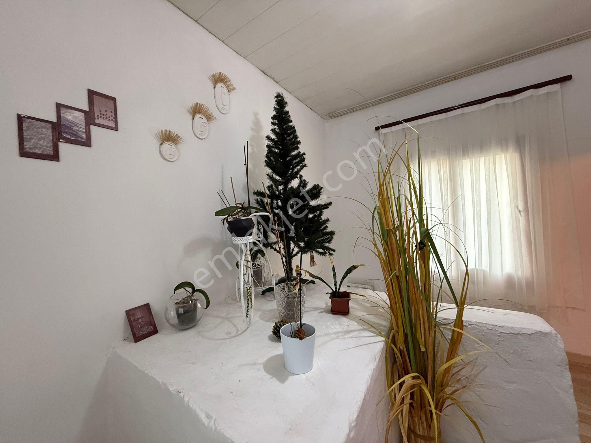 Germencik Mursallı Köyünde Satılık Bahçeli Masrafsız Müstakil Ev - Görsel 19